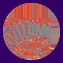 Feathers, digital abstraction stickers