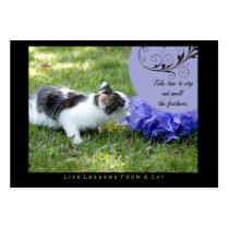 Feathers Life Lessons From A Cat ACEO Art Cards Business Cards