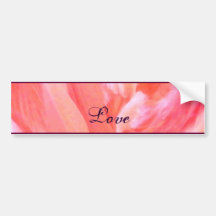 Feathers of Flamingo_ Bumper Stickers