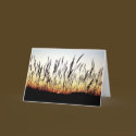 Feathers of the Plains cards by dbuckman Feathers of the Plains cards