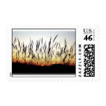Feathers of the Plains postage