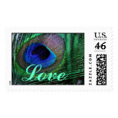 Peacock Feathers Love Postage stamps