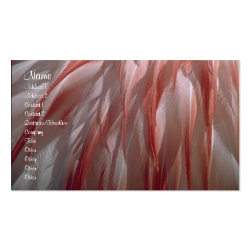 Feathers Profile Card Business Card (front side)