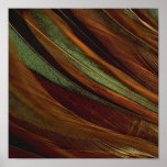 FEATHERS SWIRL posters