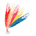 Feathers t-shirts by TeesMe Feathers t-shirts