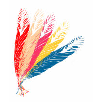 Feathers t-shirts by TeesMe Feathers t-shirts