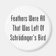 Feathers Were All That Was Left Refrigerator Magnet