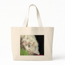 Featherweight Fatty bags