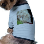 Featherweight Fatty Pet Clothing