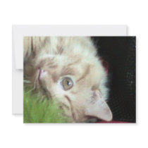 Featherweight Fatty invitations