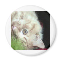 Featherweight Fatty magnets