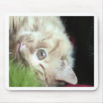 Featherweight Fatty mousepads
