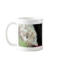 Featherweight Fatty Mug