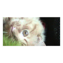 Featherweight Fatty Custom Photo Card
