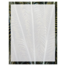 Feathery appearance of crinoid arms letterhead template