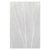 Feathery appearance of crinoid arms custom stationery