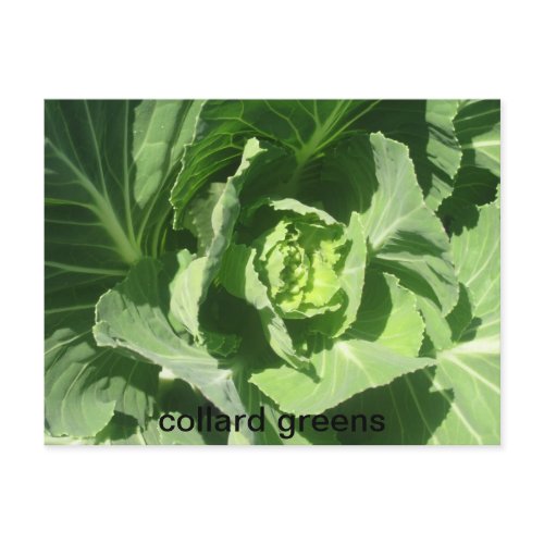 feb 28 193, collard greens postcard
