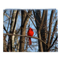 Feb_4_2007_Male_F calendars