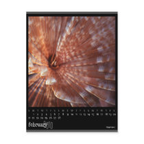 february 2010 calendar postcards by jlsphoto february 2010 calendar postcards
