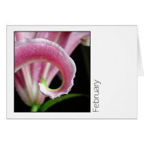 February cards by ickledink February cards