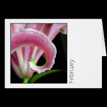 February cards by ickledink February cards