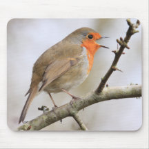 February Robin Mousepad