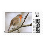February Robin Postage