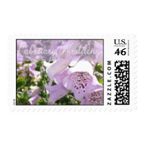 February Wedding Postage stamps