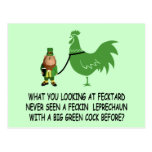 Feckin Irish fecktard Postcard