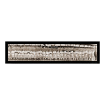 Federal League Brooklyn Photo 1914 posters by lc_panoramicphotos Federal League Brooklyn Photo 1914 posters