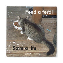 "Feed a Feral, Save a Life" feral kitten magnet