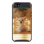 Feed me cute West Highland White Terrier puppy dog Cases For iPhone 5