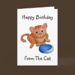 Feed Me Now Birthday Card cards