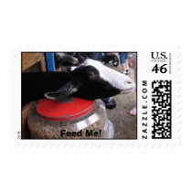 Feed Me Postage Stamp