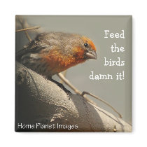 Feed the birds damn it! magnet