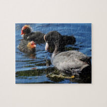 Feeding Babies Puzzle