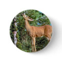Feeding Deer buttons by MuseMagic Feeding Deer buttons