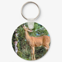 Feeding Deer keychains by MuseMagic Feeding Deer keychains