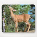 Feeding Deer mousepads by MuseMagic Feeding Deer mousepads