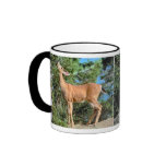 Feeding Deer Coffee Mugs