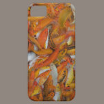 Feeding frenzy casemate cases