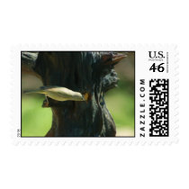 Feeding on a tree postage stamps