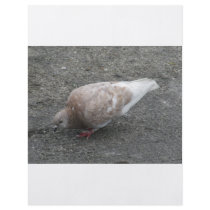Feeding Pigeon flyers by A_Phoenix Feeding Pigeon flyers