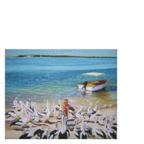 Feeding the Pelicans