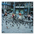 Feeding Time in Amsterdam posters by jacinto888 Feeding Time in Amsterdam posters