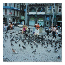 Feeding Time in Amsterdam posters