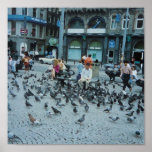 Feeding Time in Amsterdam Posters