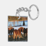 Feeding Time Square Acrylic Key Chains