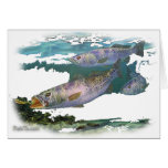 feedingspecks by FishTs.com Greeting Card