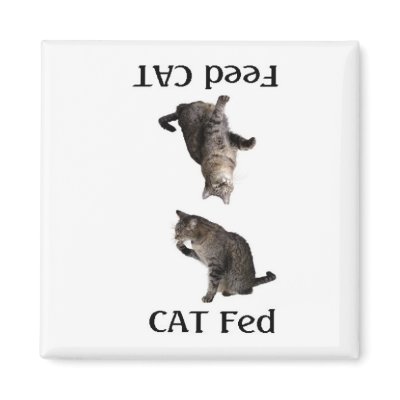 FeedTheCat Magnet by HappyCatDesign